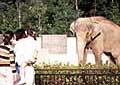 【画像】いしかわ動物園